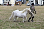 WJ6_5955