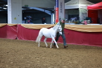 SBM_15981