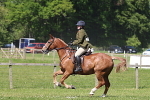 IMG_4571