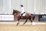 SBM_007627