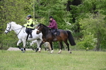 WJ6_1853