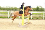 SBM_008484