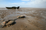 Ship wreck, Somerset _S090