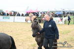 SHETPR 210425 5