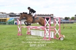 BPP_6597