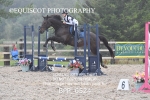 BPP_6524