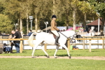 SBM_26332