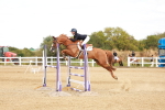 SBM_006915