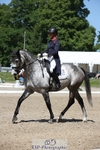159-HATHAWAY_ROYALE-Izzy_Taylor-WEDTrotUp+DR portfolio