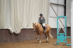 SBM_001290