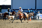 3HRodeo8-11-25_PRCASteer_02584_