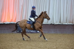 SBM_002356
