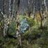 ERRATIC #2- LOCH MAREE, SCOTLAND