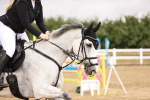 SBM_026064
