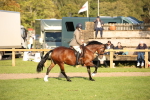 SBM_54325