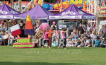 North Show 2017-13
