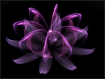 Ghost_Lotus