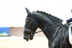 SBM_001405
