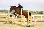 SBM_026212