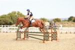 SBM_004436