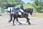 BPP_0253