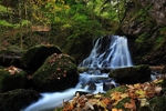 Fairy Glen Autumn