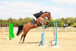 SBM_006185