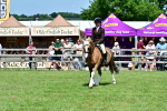 SBM_07956