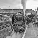 46233 Totnes 07 08 16