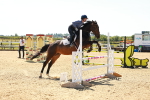 SBM_006801