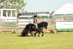 SBM_11019