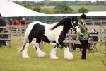 SBM_05961