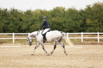 SBM_000520