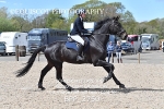 BPP_2750