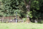 FOM_0698