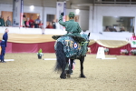 SBM_10177