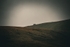 DSCF4202