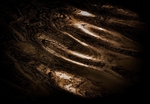 Reflections_25220_RLP0059