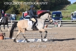 BPP_8798