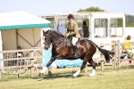 SBM_18701