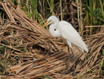 P1045911