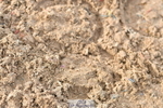 230511A-184258-01779
