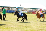 SBM_17333