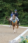 Cls 9 FEI Inter I BRONZE portfolio