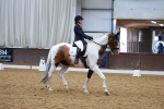 SBM_003527