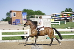 Cls 35 1.10m Amateur Quali portfolio