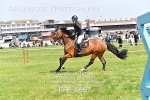 BPP_8867