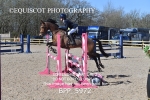 BPP_5972