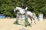 118-HIGH_HOPES_VIKING-Harry_Meade-SUNTrotUp+SJ portfolio