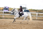 SBM_006450